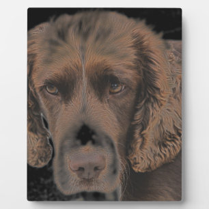 Plaque Photo Chiens Springer anglais