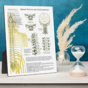 Plaque Photo Chiropractic Spinal Nerves Subluxations Easel