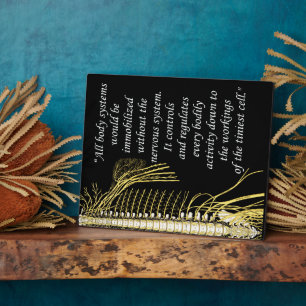 Plaque Photo Chiropratique Système nerveux Quote Easel