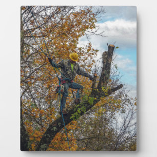 Plaque Photo Chirurgien des arbres