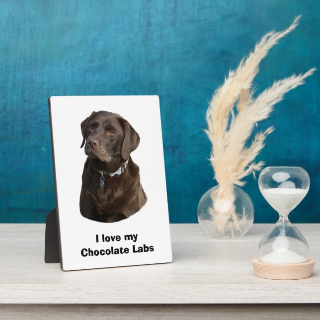 Plaque Photo Chocolate Labrador dog photo (Côté)