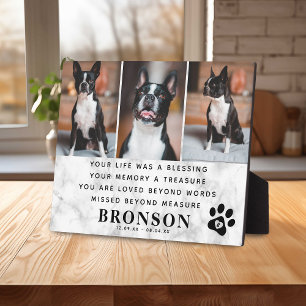 Plaque Photo Citation commémorative de perte de marbre pour ani