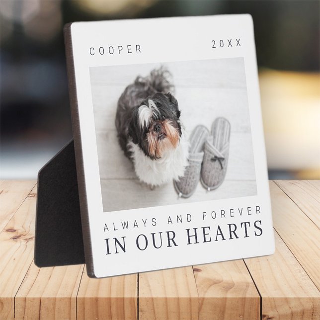 Plaque Photo Citation Pet Memorial Simple Modern Chic Photo (Créateur téléchargé)