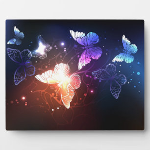Plaque Photo Clowing Night Butterflies