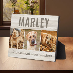 Plaque Photo Collage photo souvenir d'animaux de compagnie Empr