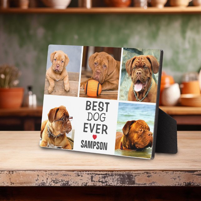 Plaque Photo Collection photo moderne Best Dog Ever | Animal (Créateur téléchargé)