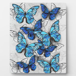Plaque Photo Composition des White and Blue Butterflies
