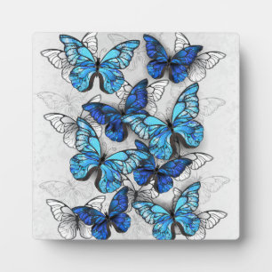 Plaque Photo Composition des White and Blue Butterflies