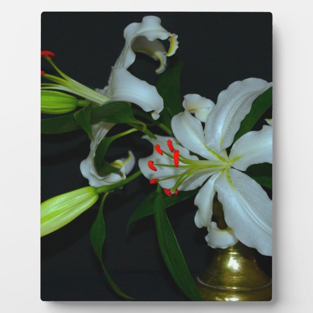 Plaque Photo Conception Irlandaise - Collection Laiton et Fleur (Devant)