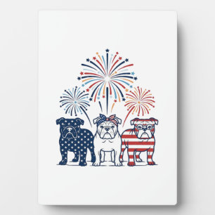 Plaque Photo Conception vectorielle vintage de feux d'artifice 