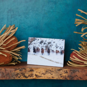 Plaque Photo Conduite de chevaux Cowboy Ranch Hideout, Shell,
