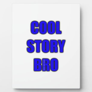 Plaque Photo Cool Story Bro