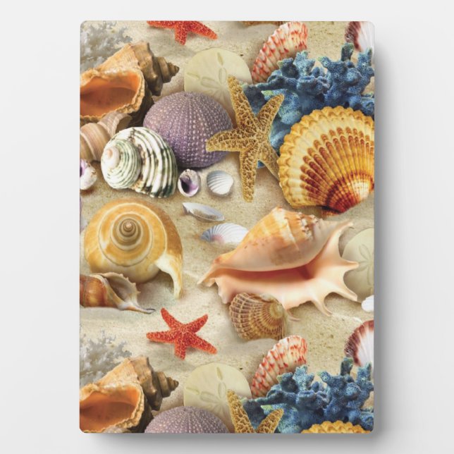 Plaque Photo Coques de mer sur la plage (Devant)