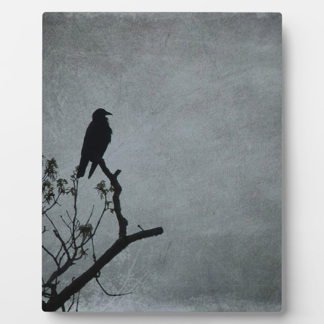 Plaque Photo Corbeau (Devant)