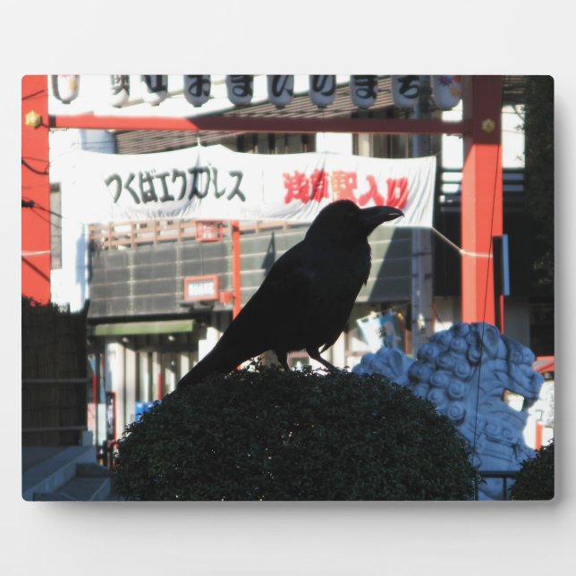 Plaque Photo Corbeau japonais (Devant)