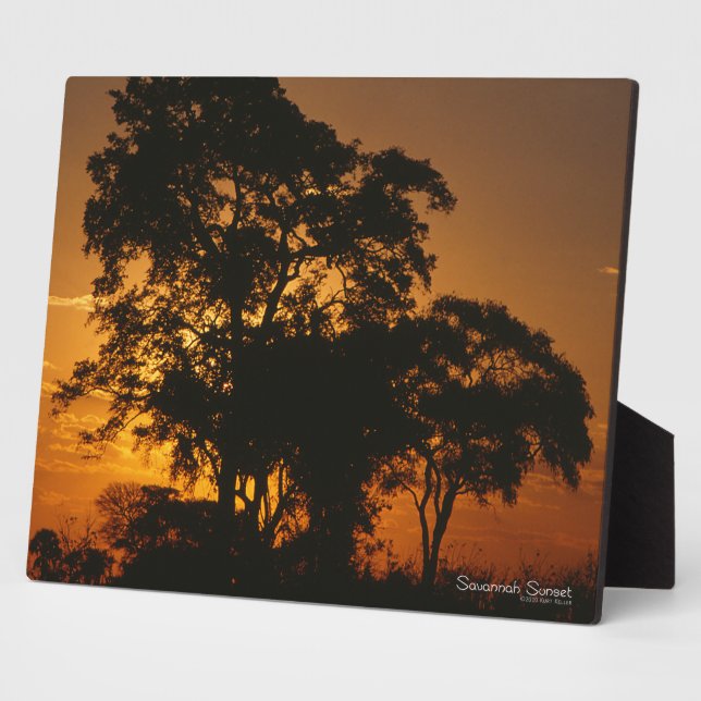 Plaque Photo Coucher de soleil de Savannah (Côté)