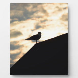 Plaque Photo Coucher de soleil de Sea Gull
