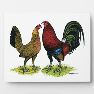 Plaque Photo Couple de volailles de combat