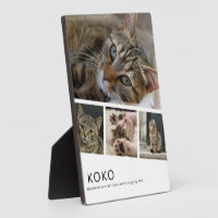 Créez votre propre photo de chat