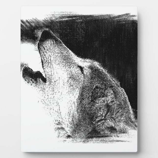 Plaque Photo Croquis noir et blanc Loup gris (Devant)