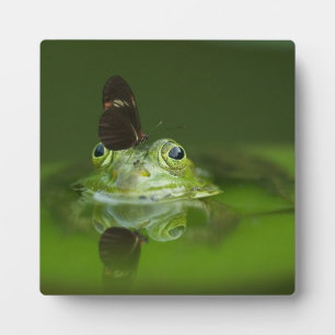Plaque Photo Cute frog