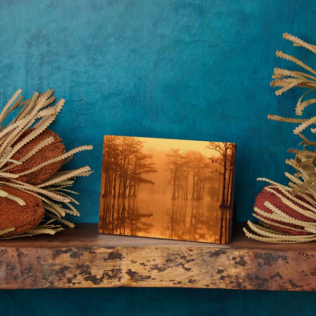 Plaque Photo Cypress Trees Parc d'état George Smith (Côté)