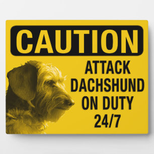 Plaque Photo Dachshund