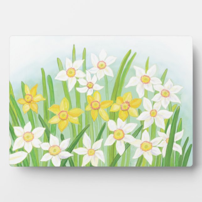 Plaque Photo Daffodiques de printemps (Devant)