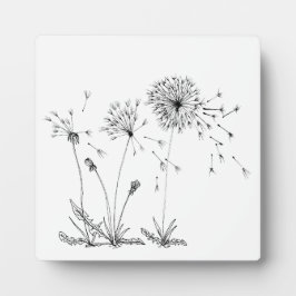 Plaque Photo Dandelions