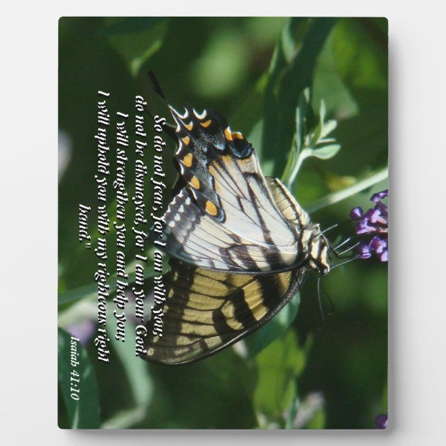 Plaque photo de la Bible de papillon Swallowtail (Devant)