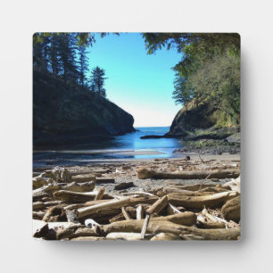 Plaque Photo Dead Man's Cove, Cape Disdéception, WA