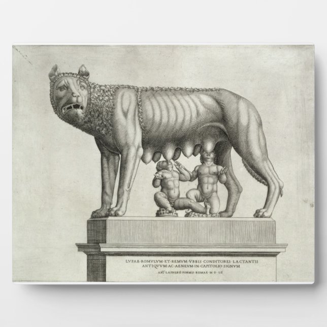Plaque Photo Dessin du bronze étrusque de la si-loup-elle (Devant)