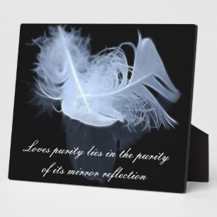 Plaque Photo Deux plumes de flamme et réflexion