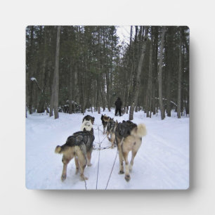 Plaque Photo Dog Sledding à Québec, Canada