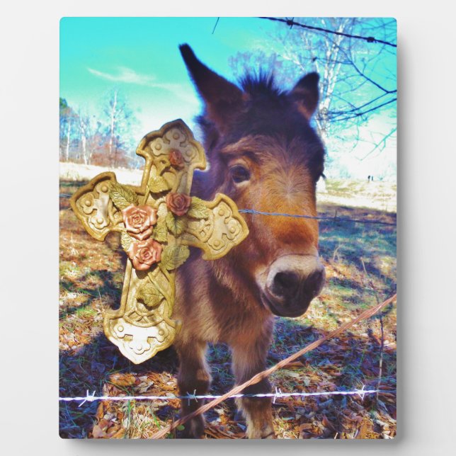 Plaque Photo Donkey avec croix Rose (Devant)