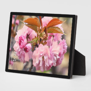 Plaque Photo Double Cherry Blossom: Kanzan