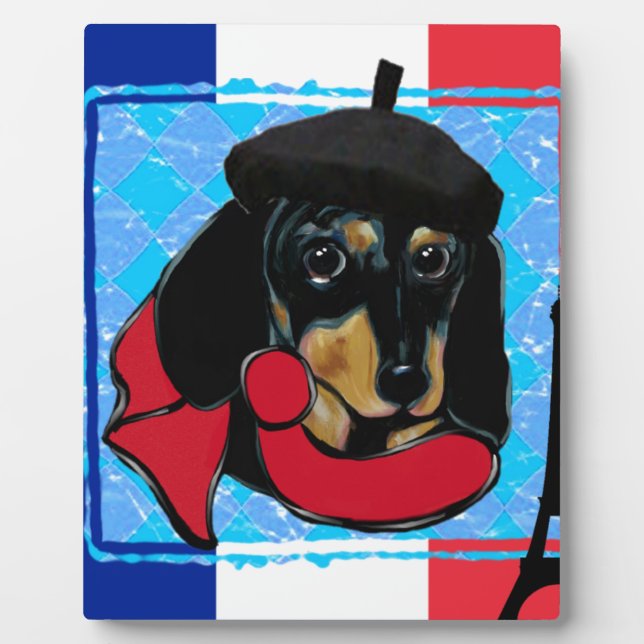 PLAQUE PHOTO DOXIE FRANÇAIS (Devant)