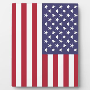 Plaque Photo Drapeau national des Etats-Unis - Authentic Scale 