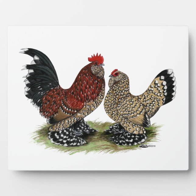 Plaque Photo D'Uccle Bantams : Mille Fleur (Devant)