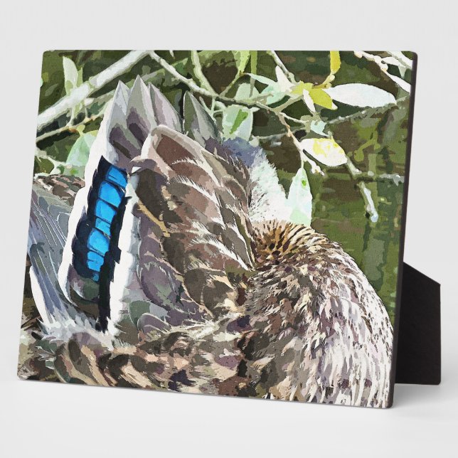 PLAQUE PHOTO DUCK FEATHERS (Côté)