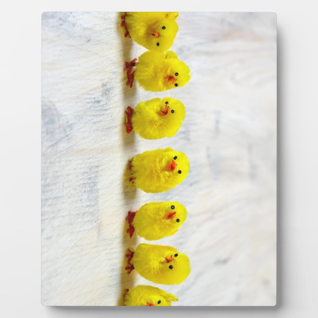 Plaque Photo Easter Decoration - chicks en row (Devant)