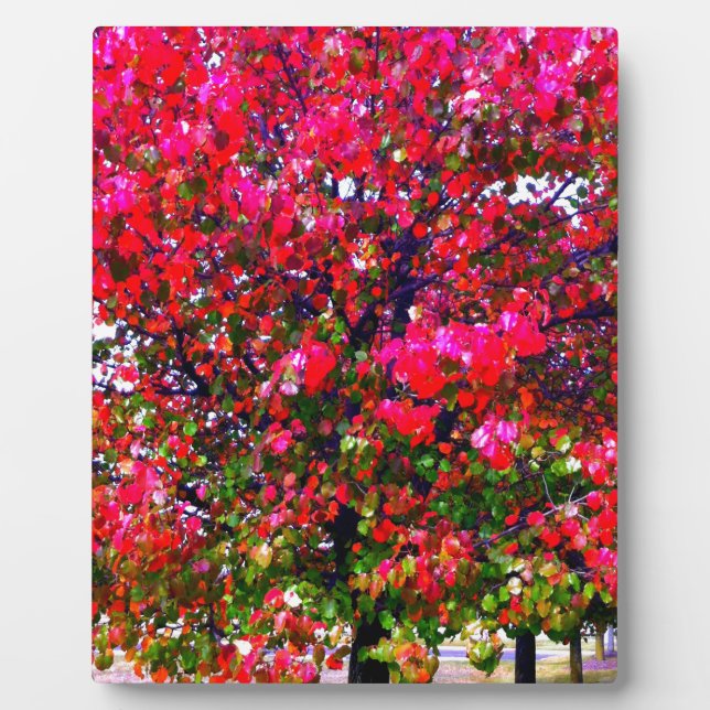 Plaque Photo Élégant automne Automne rose impressionniste arbre (Devant)