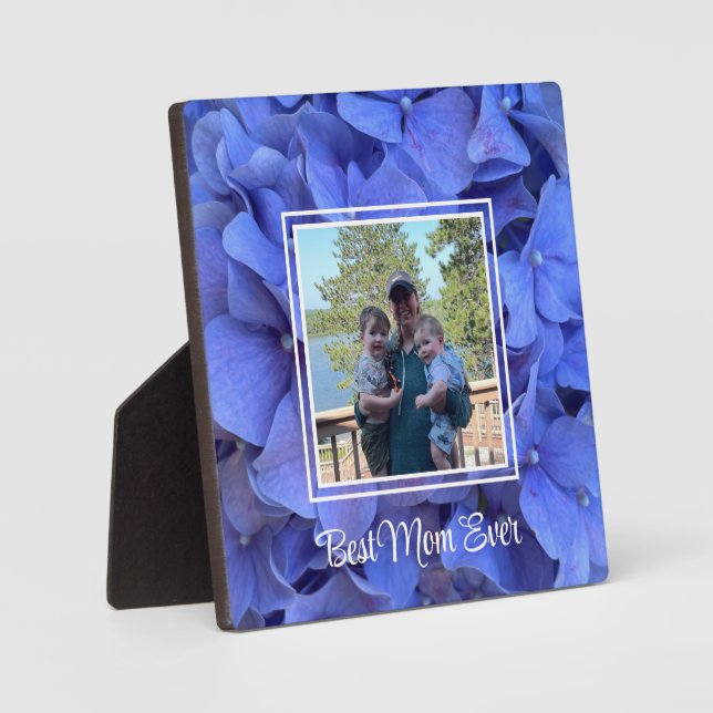 Plaque Photo Elégant bleu perwinkle hydrangée florale (Recto)