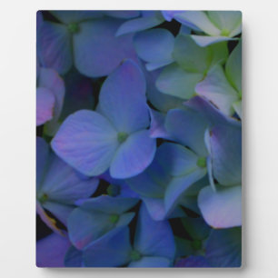 Plaque Photo Élégant bleu pourpre bleu pourpre floral