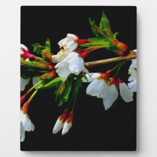 Plaque Photo Élégant noir blanc fleuri blanc Blossom