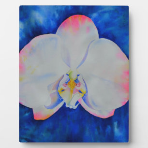 Plaque Photo Elégante orchidée florale blanche rose aquarelle