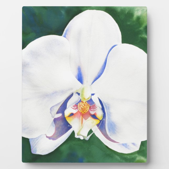 Plaque Photo Elégante peinture d'orchidée blanche (Devant)