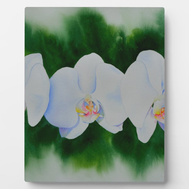 Plaque Photo Elégante peinture d'orchidée tropicale blanche (Devant)