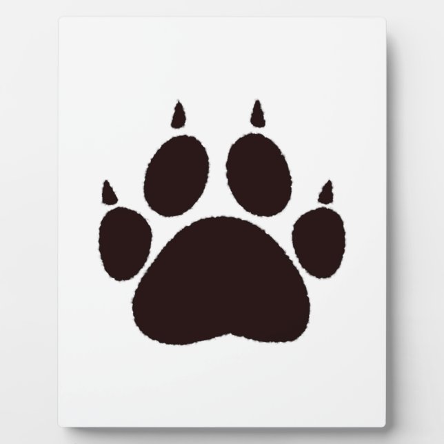 Plaque Photo Empreintes de pattes de chats (Devant)