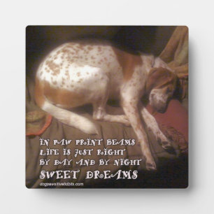 Plaque Photo Empreintes de pattes de Sweet Dreams